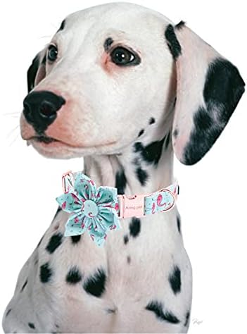 Çiçekli ARİNG PET Köpek Tasması, Çıkarılabilir Çiçekli Köpek Tasması, Erkek ve Kız Köpekler için Rahat ve Ayarlanabilir