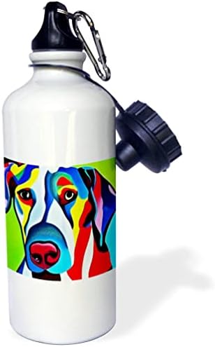 3dRose Serin komik Sevimli İddialı Renkli Büyük Dane Yavru Köpek Picasso. - Su Şişeleri (wb-372221-1)